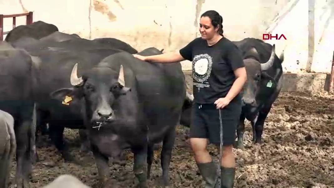 İş bulamayınca köyüne dönüp manda sütü satmaya başladı: Şimdi patron oldu! İletişim fakültesi mezunuydu, besici oldu 10